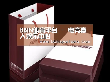 项目名称十二