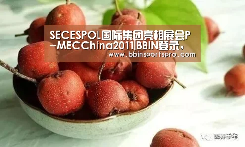 BBIN登录，BBIN下载，BBIN入口，BBIN电竞