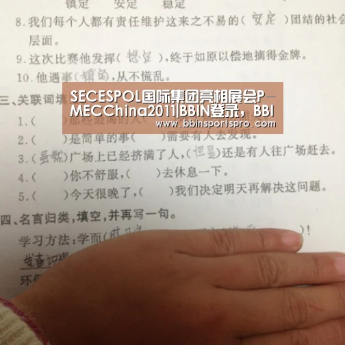 BBIN登录，BBIN下载，BBIN入口，BBIN电竞