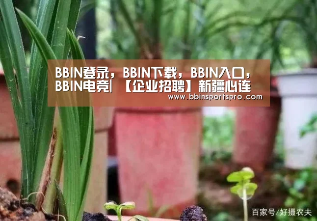 BBIN登录,BBIN下载,BBIN入口,BBIN电竞|
【企业招聘】新疆心连心能源化工有限公司招聘(图4) BBIN登录,BBIN下载,BBIN入口,BBIN电竞