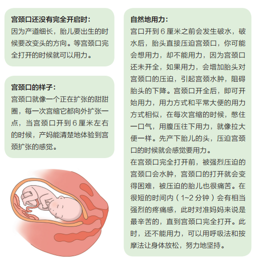 BBIN登录,BBIN下载,BBIN入口,BBIN电竞_医用高风险设备的电气检测及分析(图2) BBIN登录,BBIN下载,BBIN入口,BBIN电竞